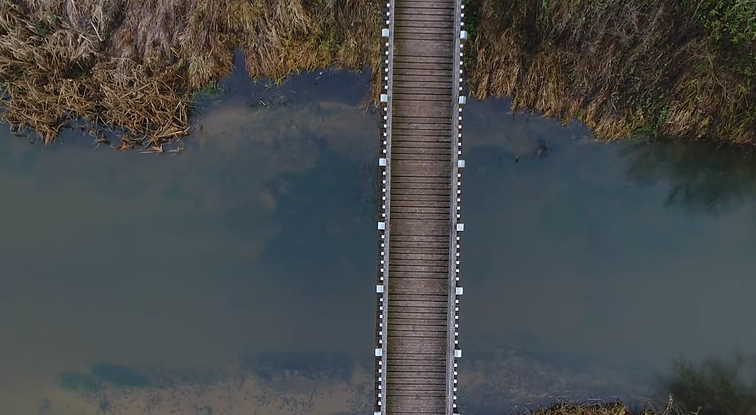 KLIPVID 2020. Da Capo – „Partizanai“