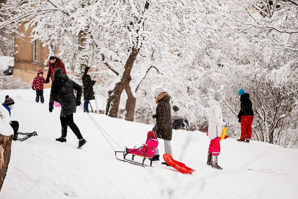 D. Umbraso  / LRT nuotr., LRT Aktualijų studija. Ką signalizuoja praėjusių metų šilumos rekordas?