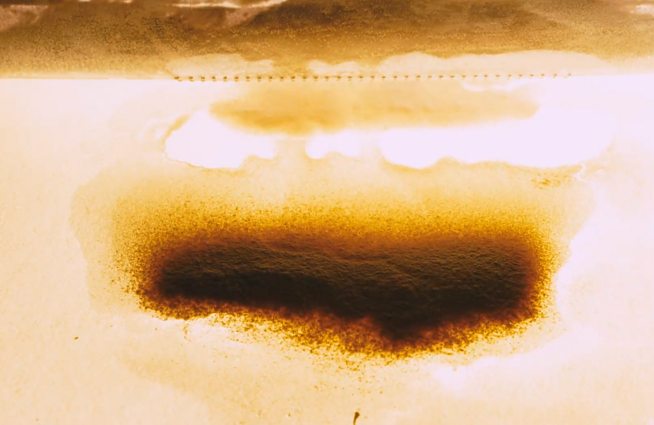 KLIPVID 2020. Sraigės efektas – „Tik ėjimas“