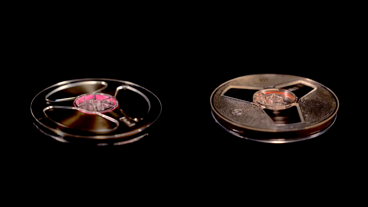 KLIPVID 2020. Marius Dan – „Ancient Ritual“