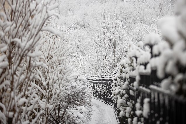 Žiema trauktis nesiruošia: bus ir saulės, ir žvarbaus vėjo gūsių