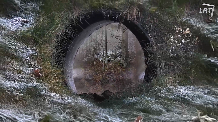 KLIPVID 2020. Saulius Jegelevičius – „Whitest Mist“