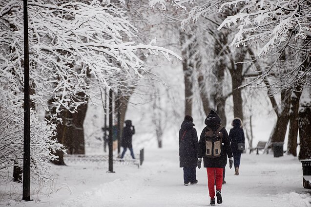 Žinios. SAM viceministrė: svarstant apie karantino švelninimą, pirmiausia galvojama apie judėjimo ribojimus ir mokymo įstaigas