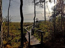 Lenkimų bebrynas