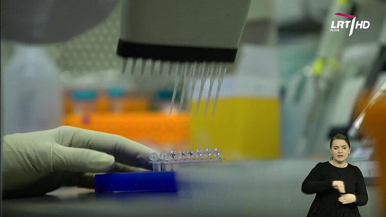 Panorama (su vertimu į gestų k.)