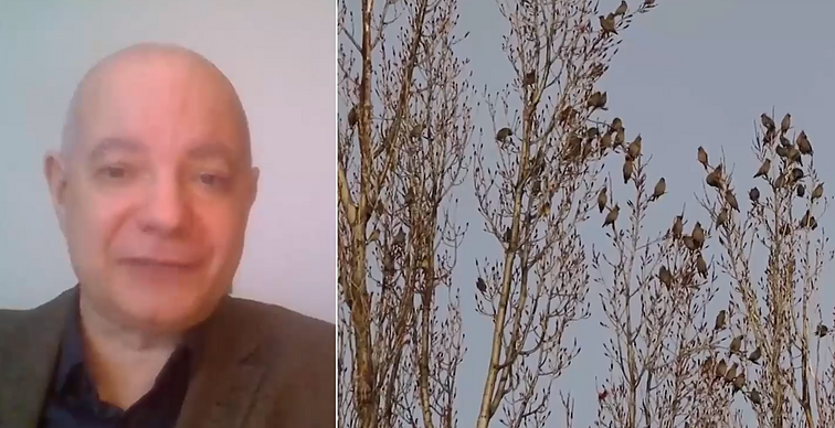 Natūralios gamtos lesyklos padeda paukščiams ištverti žiemą: ragina sodinti šermukšnius, šeivamedžius