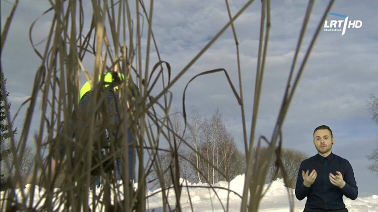 Žinios. Sportas. Orai (su vertimu į gestų k.)