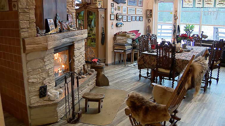 Kęstučio Vitkaus sodyba