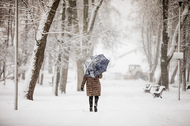 Meteorologas: greičiausiai šią žiemą išskirtinių šalčių nebesulauksime