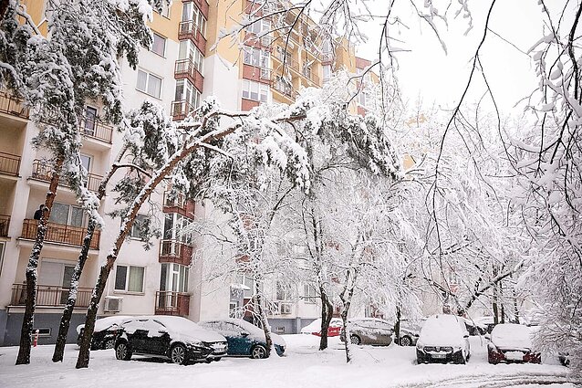 Varėnoje – vienas didžiausių snygio iššūkių: vietomis lūžta medžiai, užpustyti keliai, kaimai – be elektros