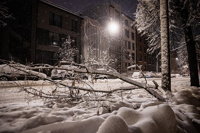 Dėl oro sąlygų dalis kaimų liko be elektros – Šiaulių rajone negalėjo dirbti ambulatorijos, ugdymo įstaigos