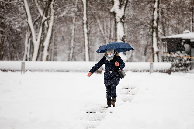 Sniegas Vilniuje