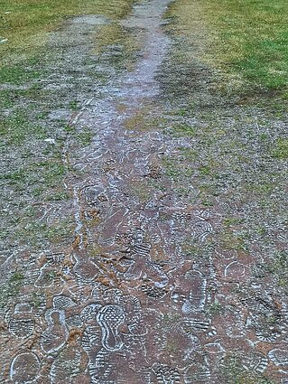 E. Zubienė per karantiną, turėdama laisvo laiko, susitelkė į kūrybą E. Zubienė per karantiną, turėdama laisvo laiko, susitelkė į kūrybą