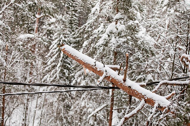 Žinios. Elektros vis dar neturi apie 2 tūkst. namų ūkių