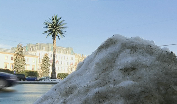 Gabalėlis tropikų kaimyninėje Lenkijoje – didžiulė palmė Varšuvoje kviečia atkreipti dėmesį į klimato problemas