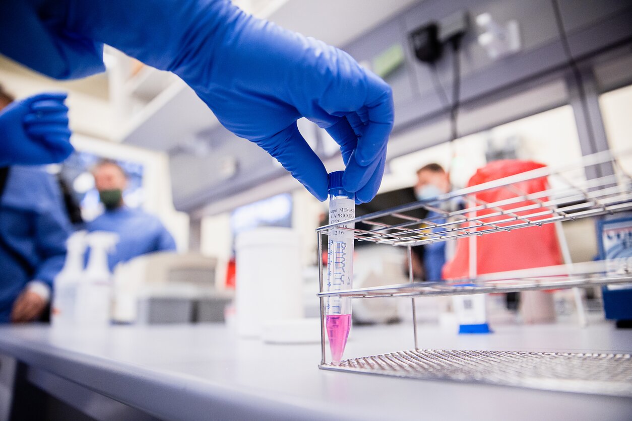 The National Public Health Surveillance Laboratory