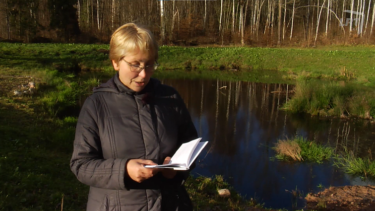Kultūrų kryžkelė. Vilniaus sąsiuvinis