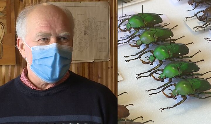Neįprastas joniškiečio pomėgis – kolekcionuoja vabalus: svajoja įkurti muziejų ir turėti didžiausią Lietuvos vabalą elniaragį Neįprastas joniškiečio pomėgis – kolekcionuoja vabalus: svajoja įkurti muziejų ir turėti didžiausią Lietuvos vabalą elniaragį