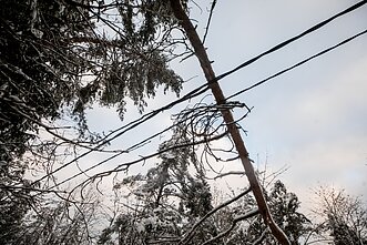 Elektros laidai Elektros laidai