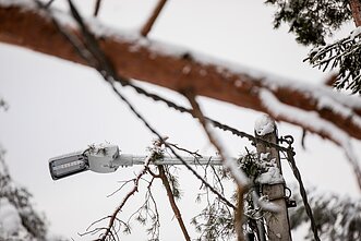 Elektros laidai Elektros laidai