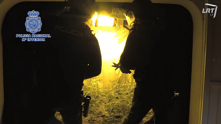 Policija išnarpliojo lietuvio narkotikų kontrabandos grupuotę: narkotikų laboratorijos šturmas Ispanijoje