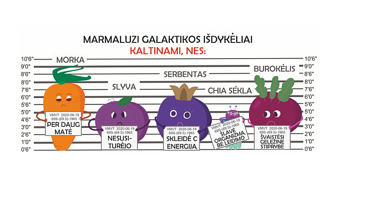 Įmonės „Straikas“ iliustracija 