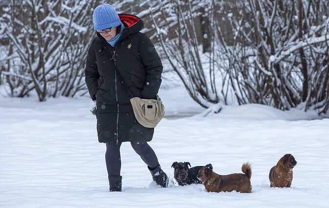 Žinios. Latvija užsidaro: į šalį uždrausta atvykti „be svarbios priežasties“