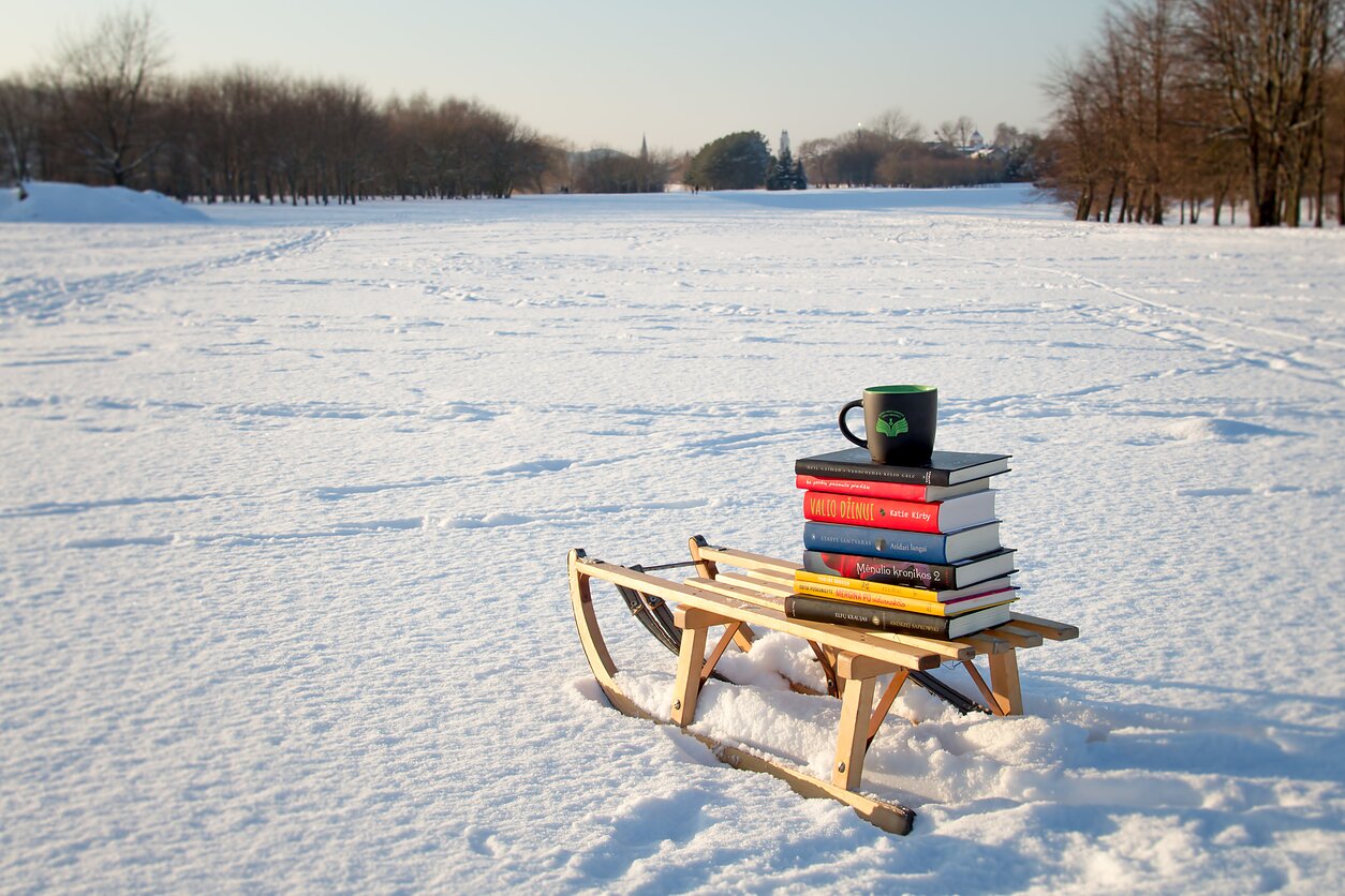 Kauno Vinco Kudirkos biblioteka