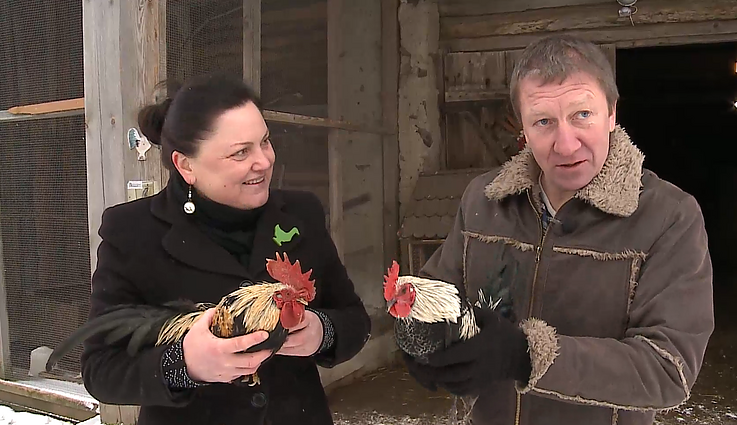 Ignalinos rajone unikalių paukščių kaimą įkūrusiai šeimai žadintuvų neprireikia