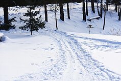 Velniakalnyje – lygumų slidžių rojus