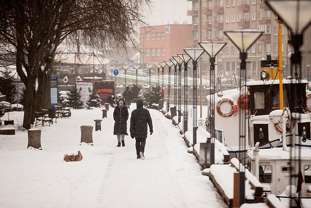 Panorama. Medikus neramina galimas britiškosios COVID-19 atmainos paplitimo mastas