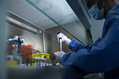 Laboratorija/Asociatyvi nuotr. Laboratorija/Asociatyvi nuotr.