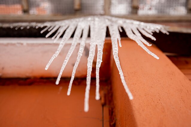Icicles