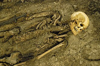 Archeologiniai kasinėjimai Čekijoje