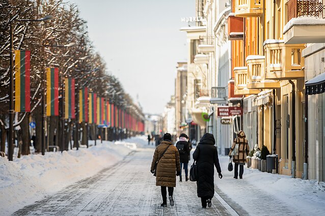 Žinios. Vyriausybė karantiną pratęsė iki kovo 31-osios, įvesti nauji ribojimų atlaisvinimai
