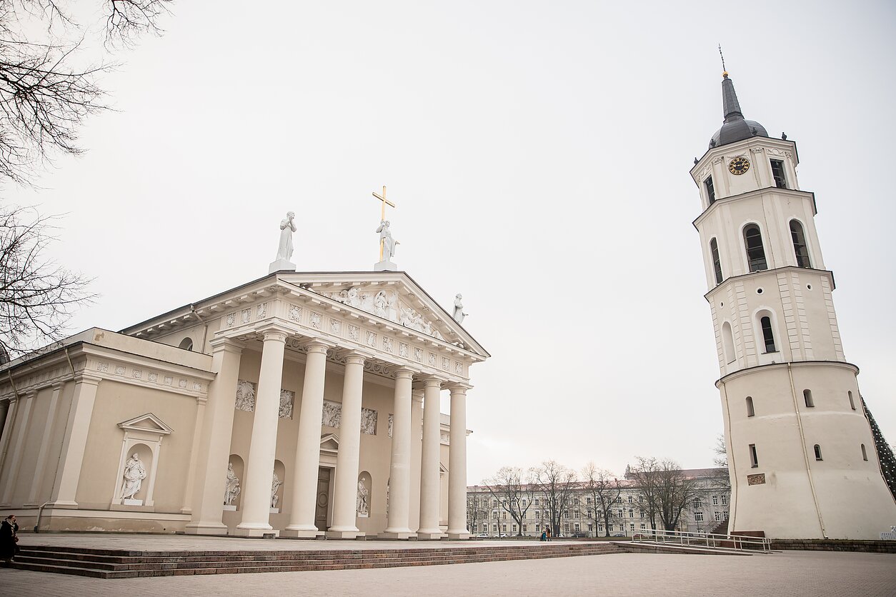 Vilniaus katedra