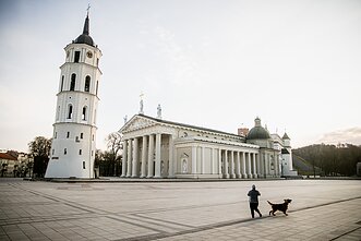 Vilniaus katedra