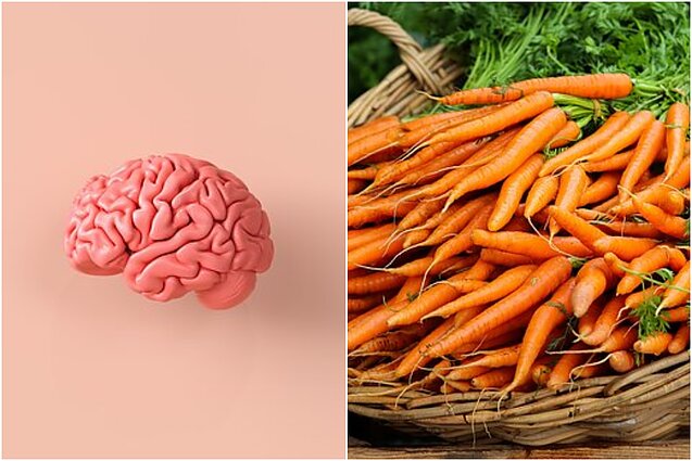 Klauskite daktaro. Judėjimo svarba smegenims ir pamirštasis vitaminas A