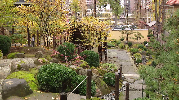 Japoniškas sodas Vilniuje