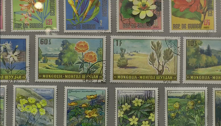 Pašto ženklų kolekcija iš egzotiškiausių pasaulio šalių Akmenėje: dalis jų kurti ir žymių menininkų