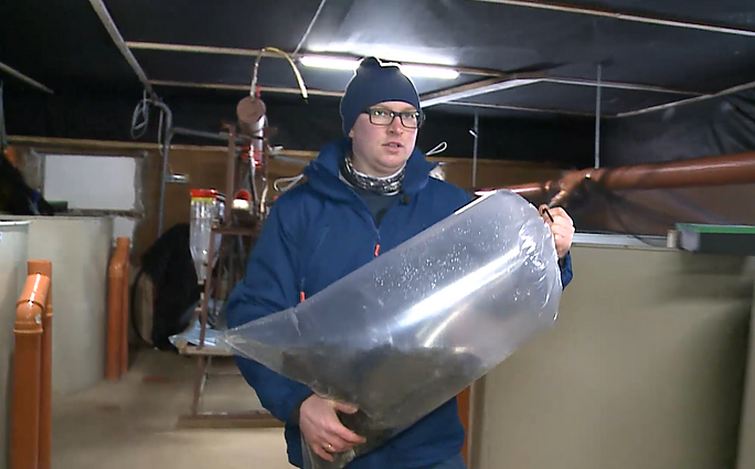 Draugų savo rankomis įkurtame vaivorykštinių upėtakių ūkyje auga per 70 tūkst. žuvų