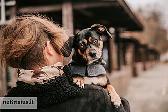 Projektas „neBrisius.lt“