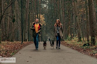 Projektas „neBrisius.lt“