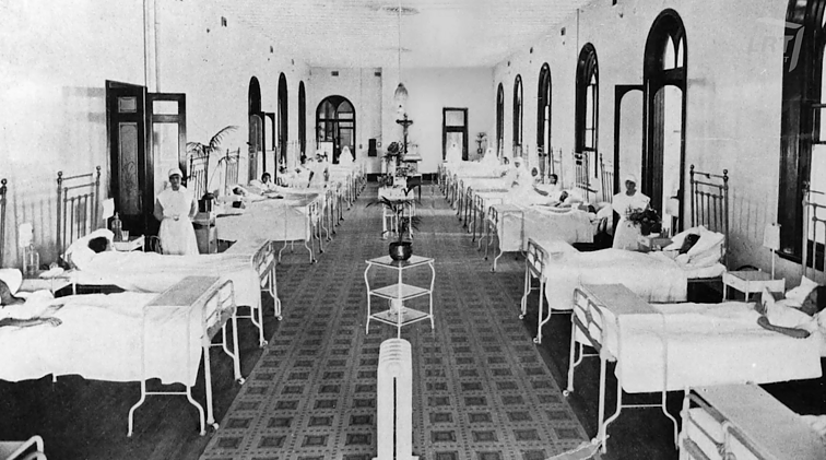 Istorijos detektyvai. Didysis kunigaikštis Švitrigaila, pirmoji lietuviška ligoninė ir žodžio „medis“ reikšmė