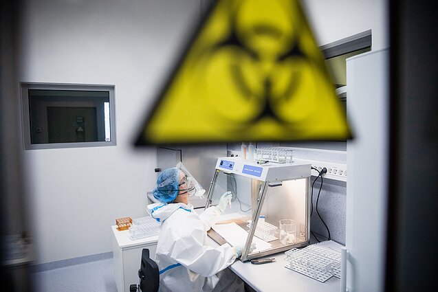 Koronaviruso tyrimai laboratorijoje Koronaviruso tyrimai laboratorijoje