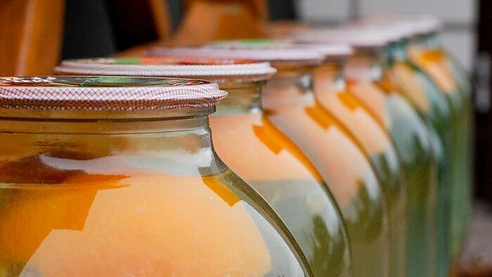 Metas skanauti sulos: kaip nepakenkti medžiams ir atsakingai ją leisti?