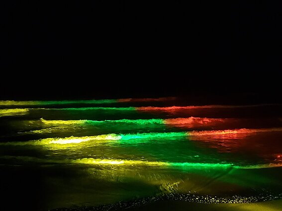 Užsienio lietuviai sveikina Kovo 11-osios proga ir pirmą kartą organizuoja iniciatyvą „Pasveikink Lietuvą“