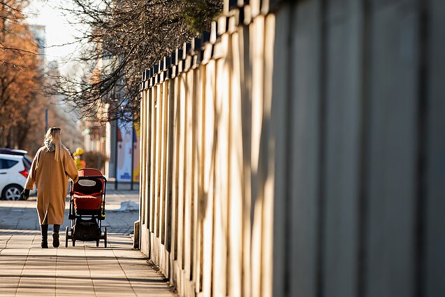 Pavasaris Vilniuje Pavasaris Vilniuje