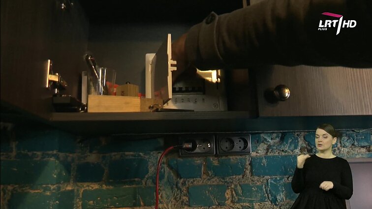 Panorama (su vertimu į gestų k.)