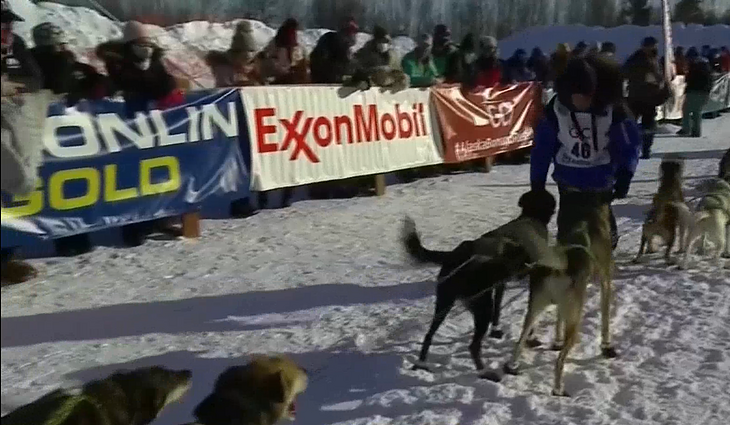 Pandemija nesutrukdė kasmetinei tradicijai: Aliaskoje – šunų kinkinių varžybos